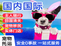 伊金霍洛航空运输国际宠物托运 【国